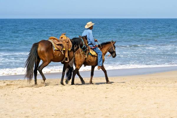 Horseback Riding in Galveston.